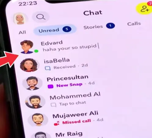 Dashboard of the TypeSnapp Snapchat spy tool showing user activity.